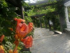 -龙寺生态园