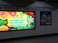 -陆家浜路(地铁站)