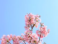 -福建鲤鱼洲酒店