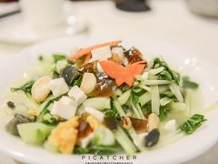 -椿记烧鹅(叠彩店)