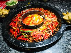 -蜀大侠火锅(东园路店)