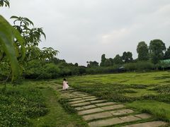 -秀丽东方