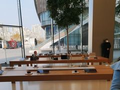 -Apple零售店(苏州店)