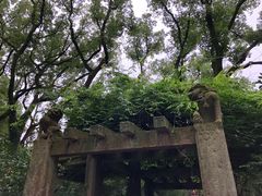 -天一阁博物院