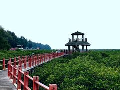 -北海金海湾红树林生态旅游区