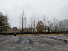 -张之洞与武汉博物馆