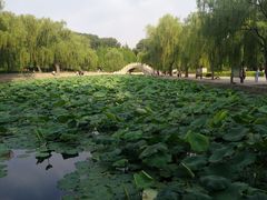 -达活泉公园