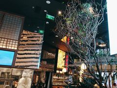 -桂满陇·海市蜃楼·黑金(国金店)