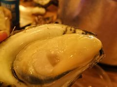 -土蚝·高压锅生蚝(百姓美食街店)