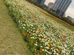 -映月湖中央公园