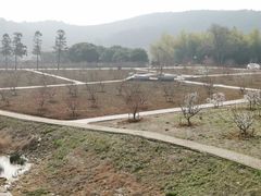 -龙寺生态园