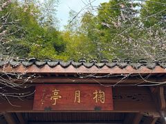 -杭州植物园