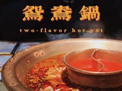 -新哥老官·畅吃123·美蛙世界(苏宁广场店)