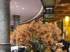 -八府香鸭·啫啫煲(华山路店)