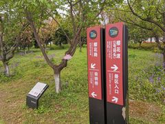 -杭州湾海上花田景区