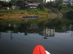 -千岛湖港湾鱼庄