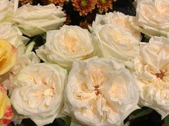-BOBLOOM花店(宝龙旭辉广场店)