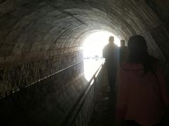 -白水寺森林公园