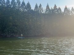 -新江湾城公园