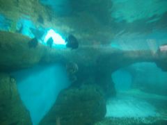 景点-波塞冬旅游度假区