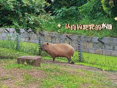 -上海野生动物园