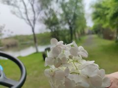 -白塘生态植物园
