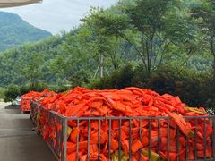 -雅鲁激流探险漂流