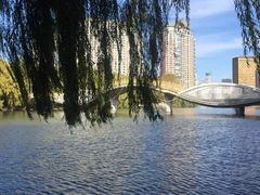 -沈阳南湖公园