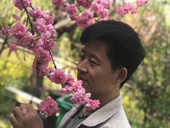 -南汇桃花村