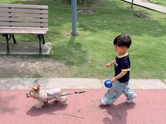 -上海长兴岛郊野公园