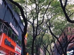-岳麓山风景名胜区