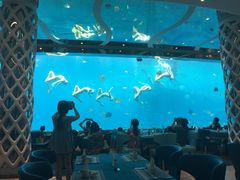 -瑞德姆美人鱼海底演艺主题餐厅(亚龙湾店)