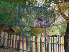 -西部长青自然儿童乐园