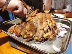 -蒙古大营(朝阳公园店)