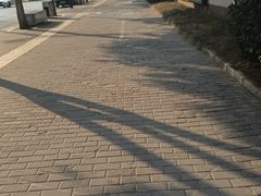 -陕西广播电视塔