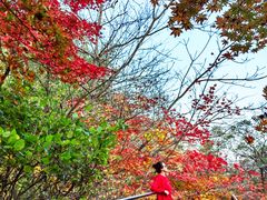 -丹东天桥沟景区