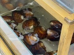 -十八字金·银饰·开蚌DIY·手工体验团建(君太百货店)