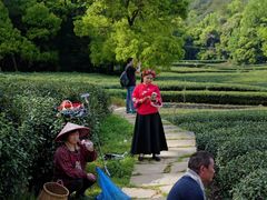 -灵顺寺