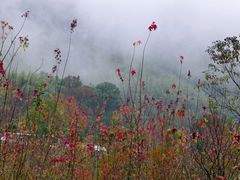 -塔川景区