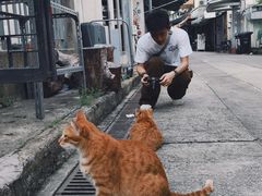 -大澳渔村及棚屋