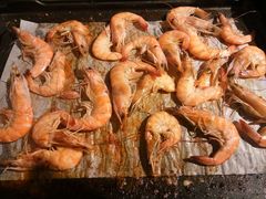 -豪食披萨烤肉自助(保定商场店)