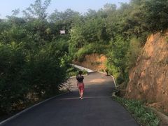 -欢乐松鼠谷
