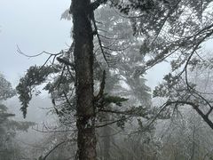 -峨眉山风景名胜区