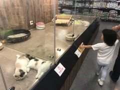 -宠物世家(仲盛世界商城店)