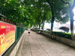 -喷泉公园
