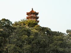 -深圳仙湖植物园