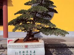 -太平禅寺