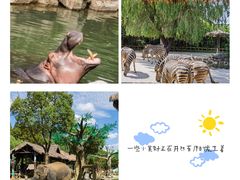 -上海野生动物园