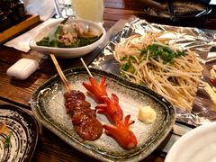 -66大阪烧烧鸟·益市家系拉面出张所