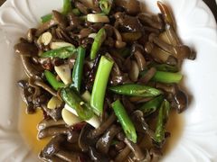 竹海野菌-竹野·上|老字号全竹宴